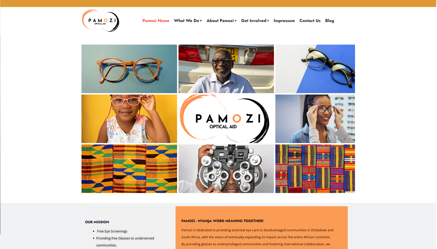 Pamozi eye-care homepage – charity website design South Africa